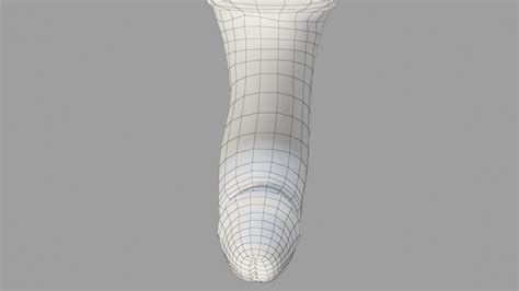 3d penis model